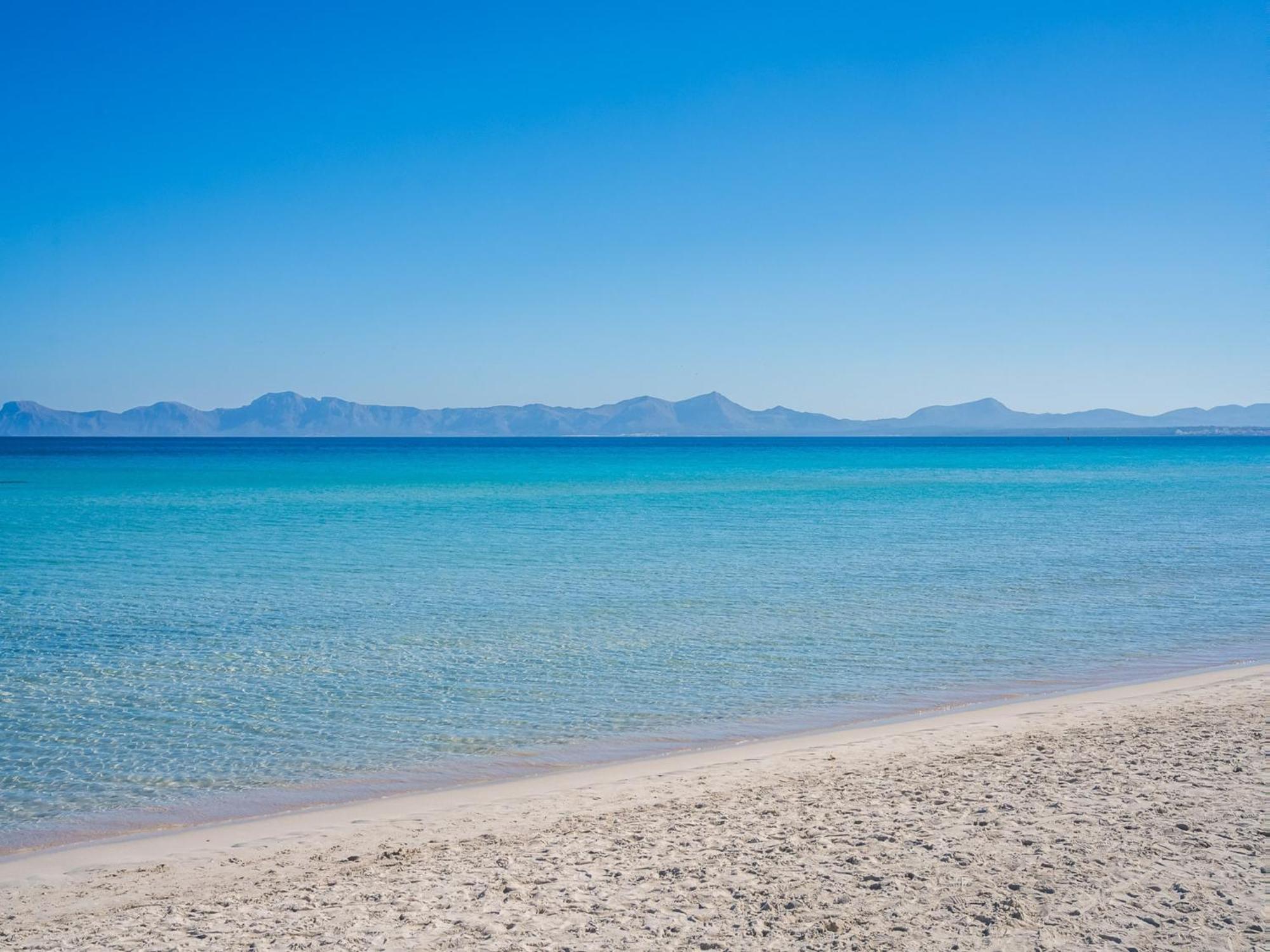 Seafront In Alcudia (Mallorca)